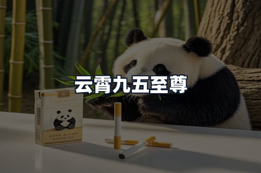 云霄九五至尊